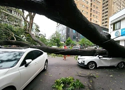 Toàn cảnh diễn biến bão số 3 Yagi, xuất hiện nhiều quy luật dị thường