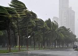 Trung Quốc: Siêu bão Yagi đổ bộ lần thứ hai, gần 1 triệu người di dời