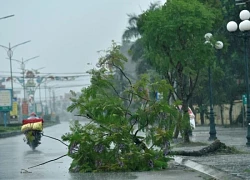 Vì sao bão Yagi không suy yếu sau khi đổ bộ Quảng Ninh - Hải Phòng?