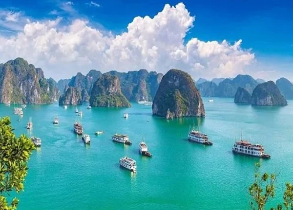 Việt Nam đón nhận 3 giải thưởng là điểm đến hàng đầu châu Á