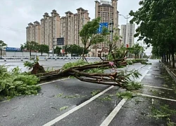 Yagi là siêu bão mùa thu mạnh nhất trong 75 năm qua tại Trung Quốc