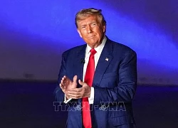 Chiến lược rủi ro của ông Trump: Hướng tới những cử tri thường không đi bỏ phiếu