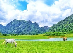 Có một khu du lịch thảo nguyên La Vuông đầy thơ mộng