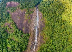 Khu rừng nguyên sinh cách thành phố Huế 40 km: Nhiều điểm check-in tuyệt đẹp, hệ động thực vật đồ sộ