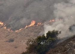 Mỹ: Đám cháy rừng lớn tại California tiếp tục lan rộng không kiểm soát