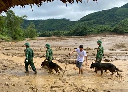 'Lực lượng' đặc biệt tham gia tìm kiếm nạn nhân ở Làng Nủ