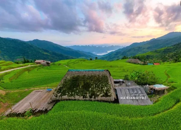 Mùa lúa xanh tại 'ngôi làng phủ rêu' ở Hà Giang