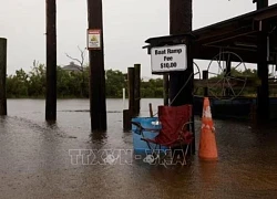 Mỹ: Bão Francine tàn phá Louisiana, hàng trăm nghìn người mất điện