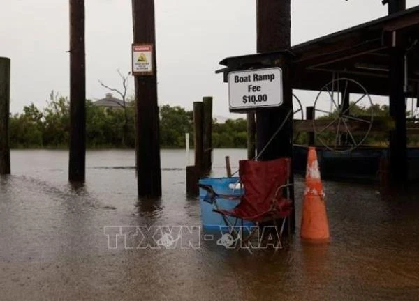 Mỹ: Bão Francine tàn phá Louisiana, hàng trăm nghìn người mất điện