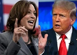 Ông D.Trump tuyên bố không tham gia cuộc tranh luận khác với bà K.Harris