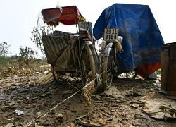 Tan hoang trên bãi giữa sông Hồng