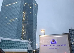 Chuyên gia kinh tế ECB khuyến nghị lộ trình cắt giảm lãi suất