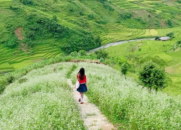 Du khách đã có thể đến Mù Cang Chải trải nghiệm mùa lúa chín