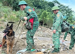 Đưa chó nghiệp vụ đến Nậm Tông tìm nạn nhân mất tích