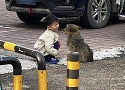 Giữa trưa không thấy con đâu, mẹ hốt hoảng chạy ra đường tìm rồi giật mình khi thấy cảnh tượng trước mắt