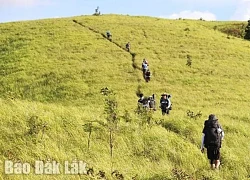 'Thiên đường' thảo nguyên Pal Sol