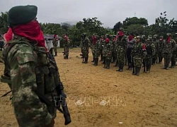 Chính phủ Colombia đình chỉ đàm phán hòa bình với nhóm vũ trang ELN