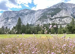 Khám phá công viên quốc gia Yosemite ở California, Mỹ vào mùa Thu