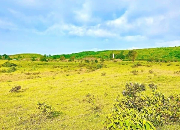 Phát hiện cao nguyên cảnh như nước ngoài, khí hậu có đủ 4 mùa trong ngày, cách thành phố hơn 100km