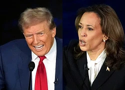 Bầu cử Mỹ 2024: Ông Trump từ chối tham gia cuộc tranh luận thứ hai với bà Harris