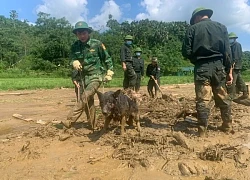 Còn 11 người mất tích ở Làng Nủ, đội chó nghiệp vụ đã rút khỏi hiện trường