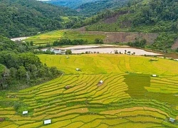 Đến Măng Đen thưởng ngoạn ruộng bậc thang Kon Tu Rằng