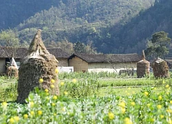 Ghé thăm ngôi làng trăm năm làm ngói âm dương ở Cao Bằng