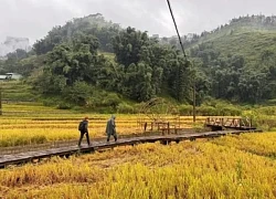 Lào Cai ra mắt 4 tour du lịch kết hợp thiện nguyện sau bão Yagi