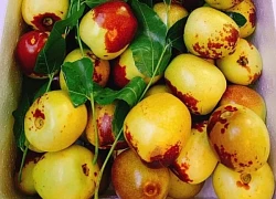 Hồng táo có tác dụng gì?