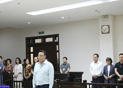 Chủ tịch Tân Hoàng Minh Đỗ Anh Dũng được giảm 12 tháng tù