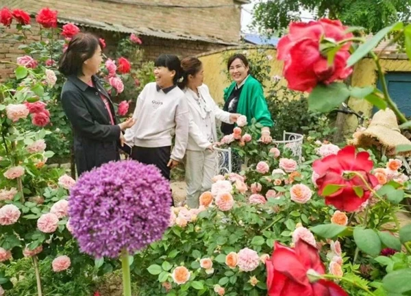 Con gái cải tạo khoảng sân cằn cỗi ở nông thôn thành vùng đất tràn ngập hoa để tặng cha mẹ