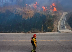 Ecuador: Nguy cơ cháy rừng nghiêm trọng tại thủ đô Quito