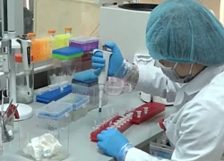 Người đàn ông đi xét nghiệm ADN con của thư ký, cầm kết quả liền cho tiền