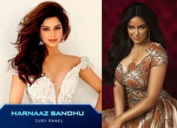&#8220;Người rắn&#8221; Miss Universe 2021 &#8211; Harnaaz Sandhu làm giám khảo Miss Cosmo 2024