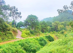 Trekking xuyên rừng, ngâm mình trong làn nước suối tại Ba Hồ, Khánh Hòa