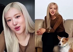 Rosé (BLACKPINK) làm đại sứ nhãn hàng ngập drama, đẳng cấp nhưng hành xử "chợ"