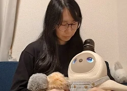 Robot thú cưng AI - giải pháp cho 'đại dịch cô đơn'