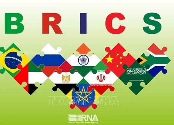 Indonesia chính thức gia nhập BRICS với tư cách thành viên đầy đủ