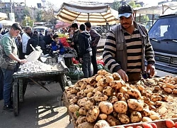 Syria nỗ lực đẩy mạnh tái thiết đất nước sau xung đột kéo dài