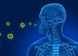 Virus gây viêm phổi HMPV đã lưu hành ở TPHCM