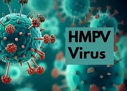 Virus HMPV: Ấn Độ ghi nhận ca nhiễm đầu tiên, Nga xác định nhóm nguy cơ