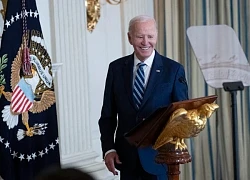 Ông Biden tin vẫn có thể đánh bại ông Trump nếu tiếp tục tranh cử tổng thống