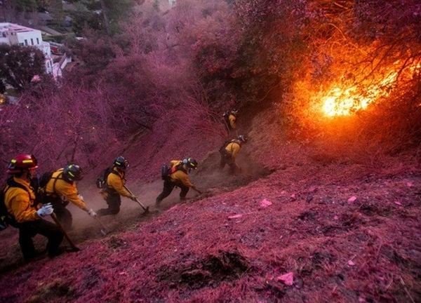 Lợi dụng cháy rừng ở California để đóng giả lính cứu hỏa hòng trộm cắp