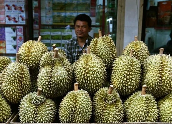 Lý do mới phát sinh khiến Trung Quốc tạm dừng nhập sầu riêng Thái Lan