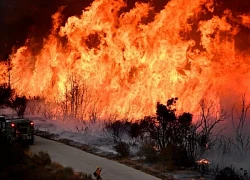 Ông Trump: Thảm họa cháy rừng ở California như "vụ tấn công hạt nhân"