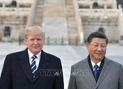 Báo Mỹ tiết lộ tên 2 nước mà ông Trump muốn đến trong vòng 100 ngày sau nhậm chức