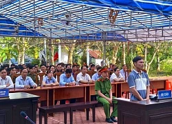 Cà Mau: Lãnh án tù vì bắt cá bằng xung điện