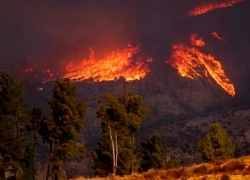 Mỹ sơ tán hơn 19.000 người do đám cháy rừng mới lan rộng ở Los Angeles