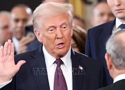 Bắt giữ nghi phạm đe dọa Tổng thống Donald Trump trên TikTok