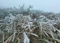 Lãnh đạo địa phương chịu trách nhiệm nếu để người dân chết vì rét